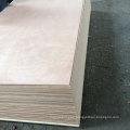 poplar/birch plywood for furniture